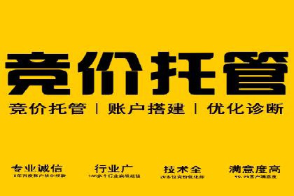 百度搜索推广的成功案例：企业如何实现精准营销